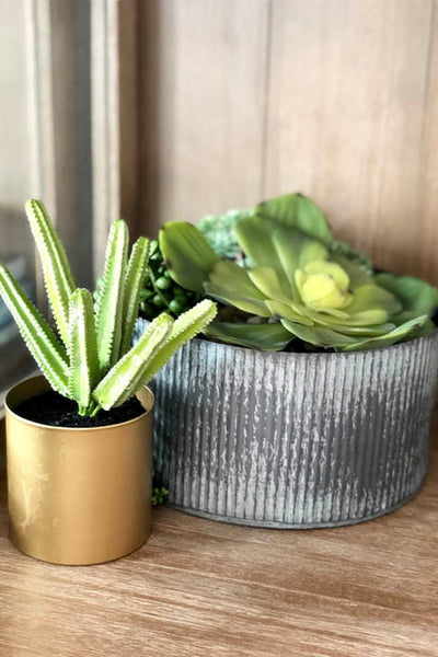 Interior design of succulent decor arrangement. Designed by interior designer Erica LeMaster Sargent. 